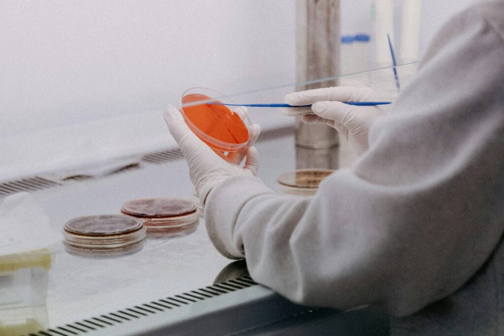 Batteri nella carne: cosa c’è da sapere immagine decorativa